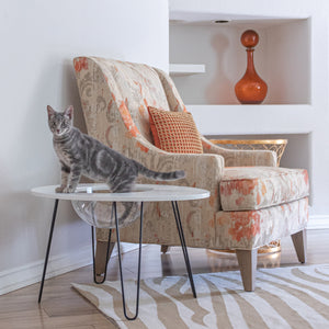 Hauspanther NestEgg Raised Cat Bed & Side Table by Primetime Petz