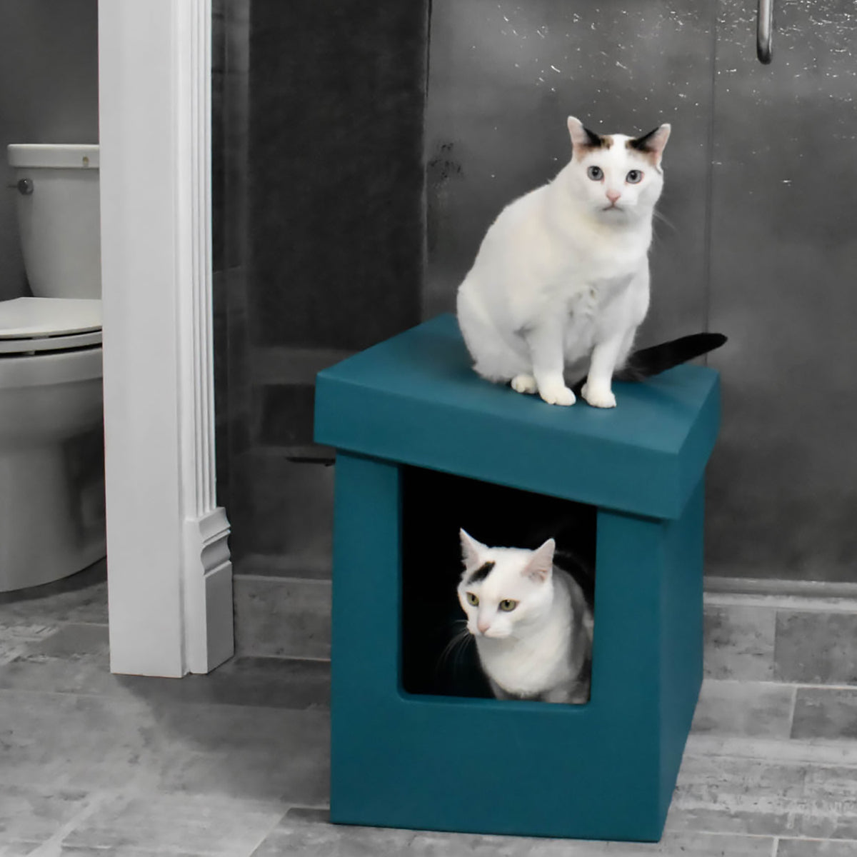 Kitangle Seamless Covered Litter Box :: Slope Style XL