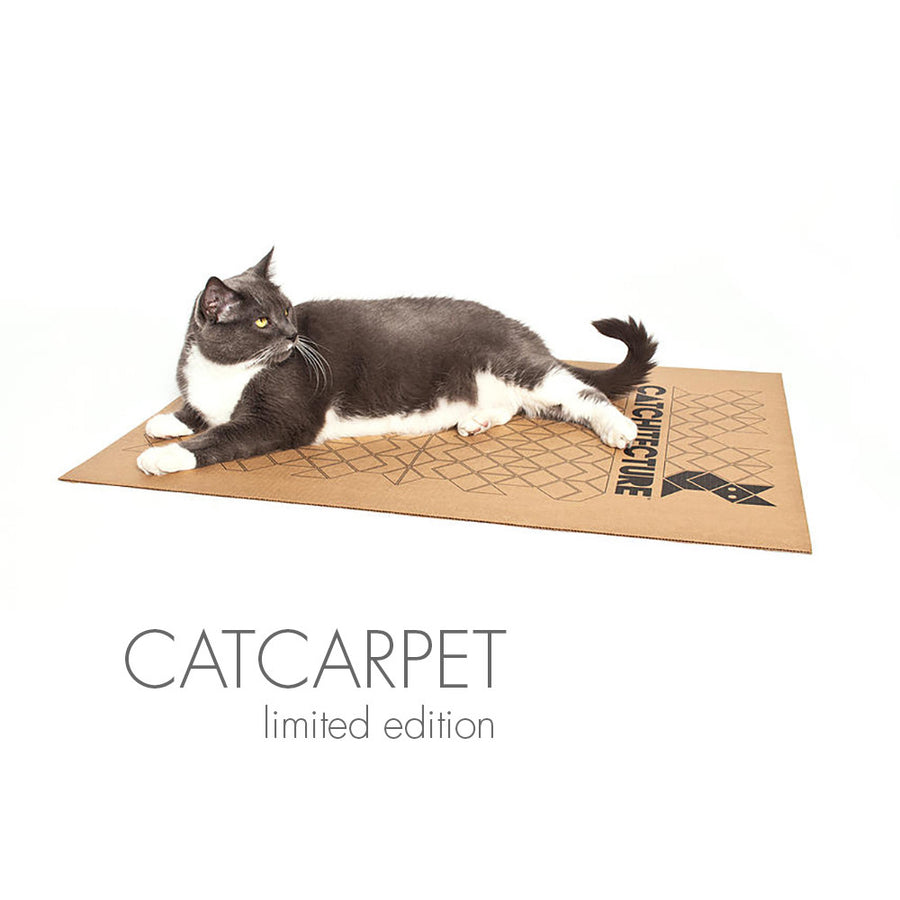 OCTACAT Contemporary Cardboard Cat Hideaway from Catchitecture