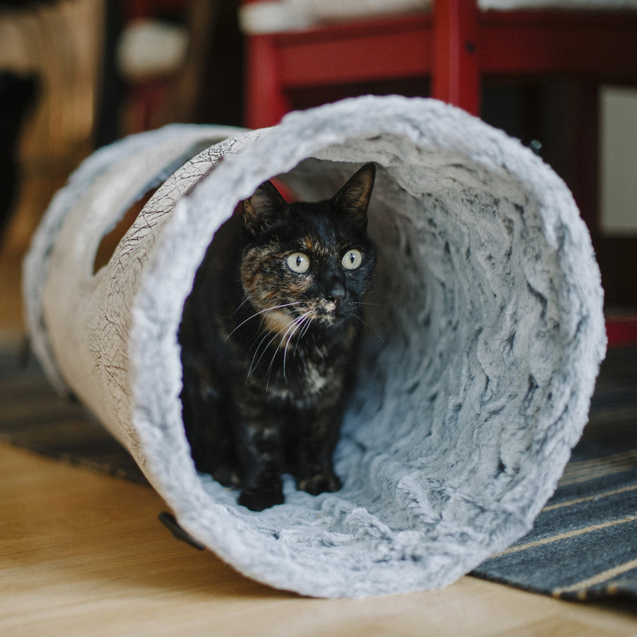 Purr & Pounce Cat Tunnel from P.L.A.Y.