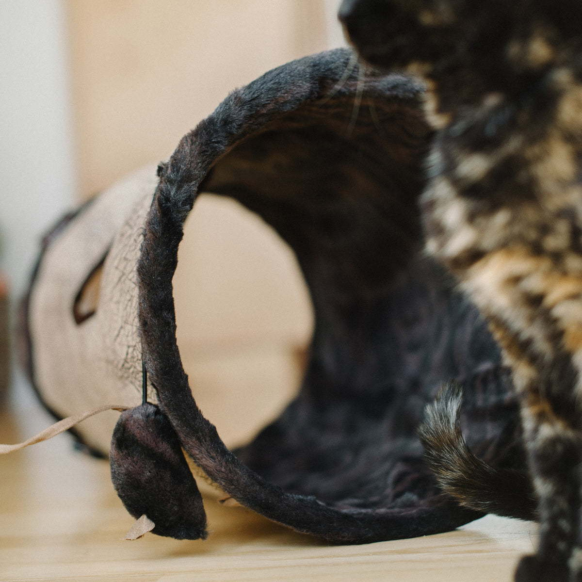 Purr & Pounce Cat Tunnel from Pet Play