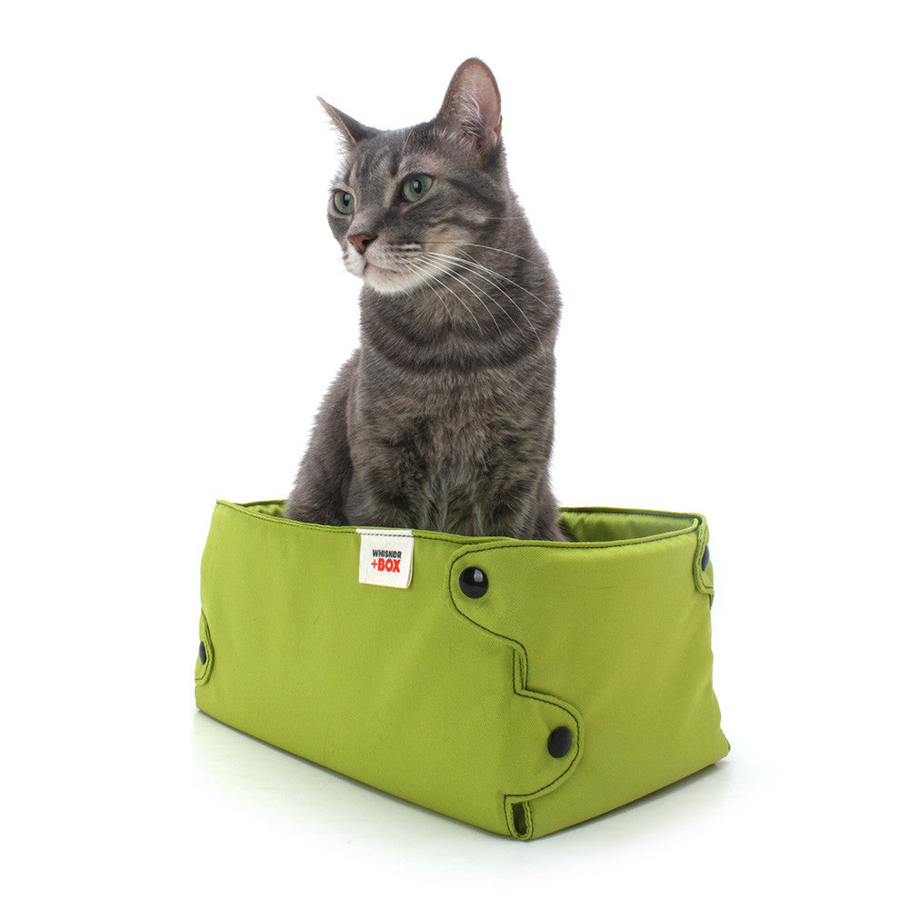 Whisker + Box Cat Bed