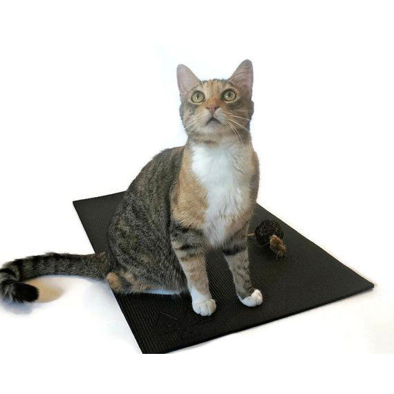 cute Cat Retro Style Yoga Mat