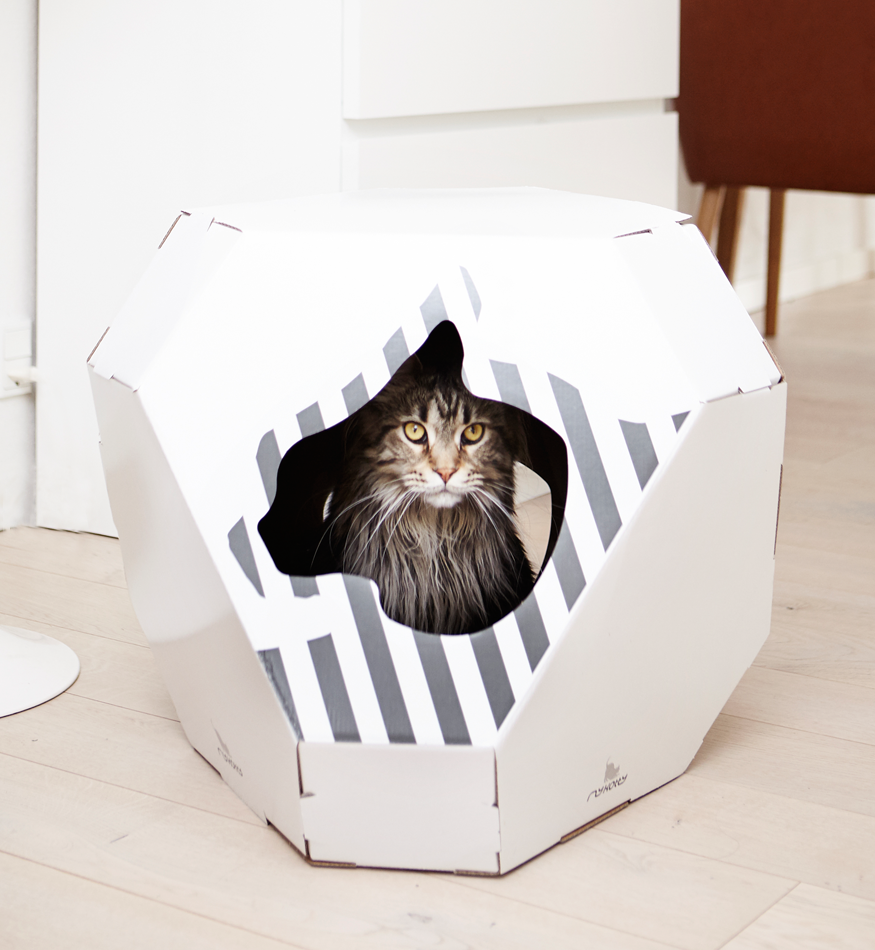 MIA Cat House with MATA Scratcher from MyKotty