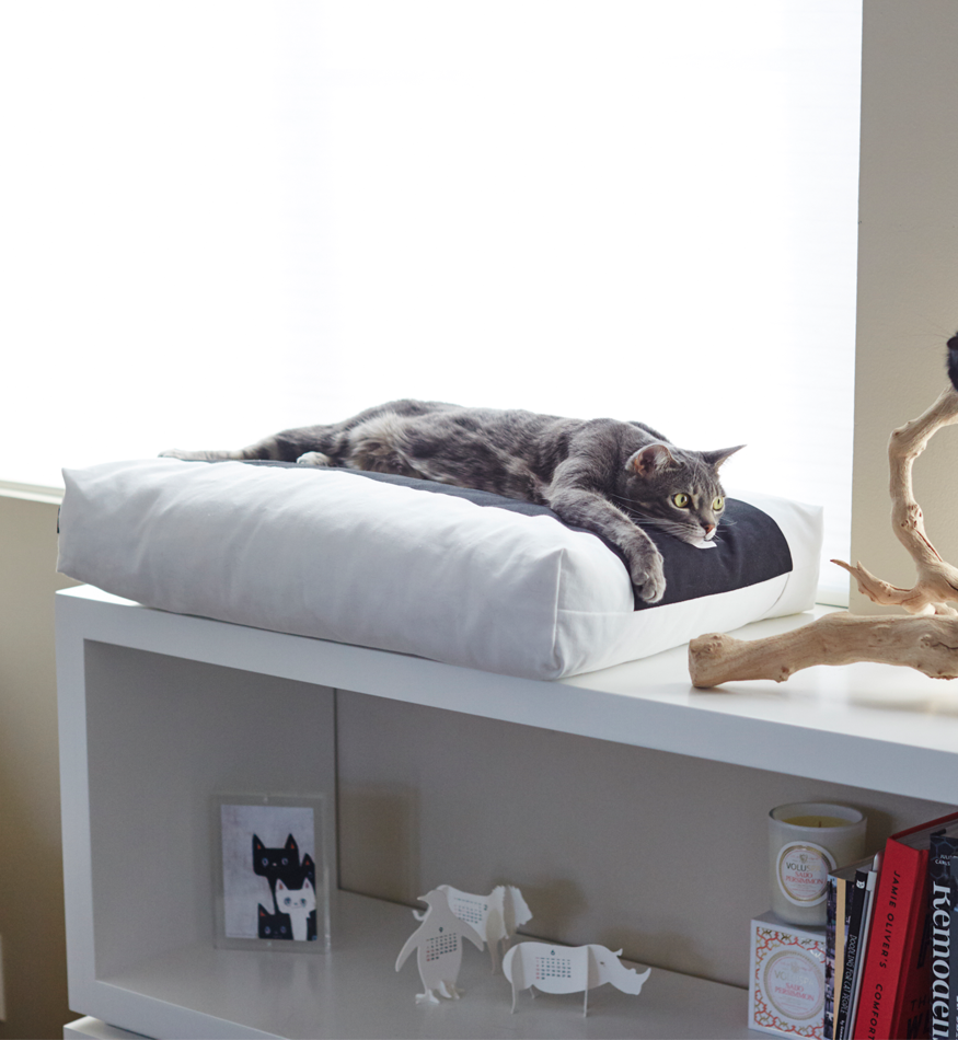 PADI Pillow Cat Bed from MyKotty