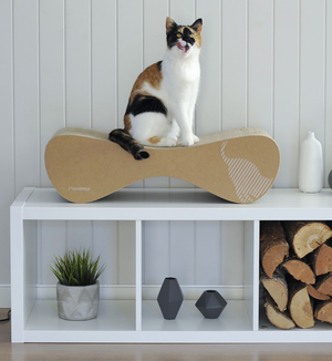 VIGO Cat Scratcher & Lounge from MyKotty